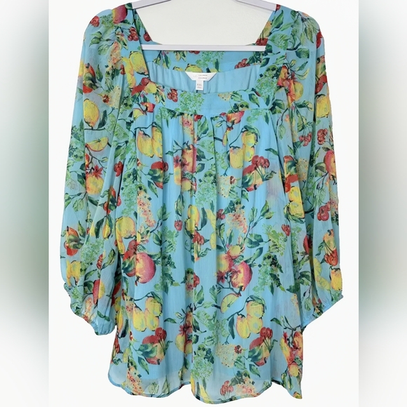 LC Laura Conrad, NWOT, Peasant Chiffon Blouse, Fruit Print, Size XXL - Picture 10 of 11